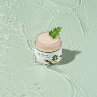Round Lab Mugwort Calming Cream - Skinn K.